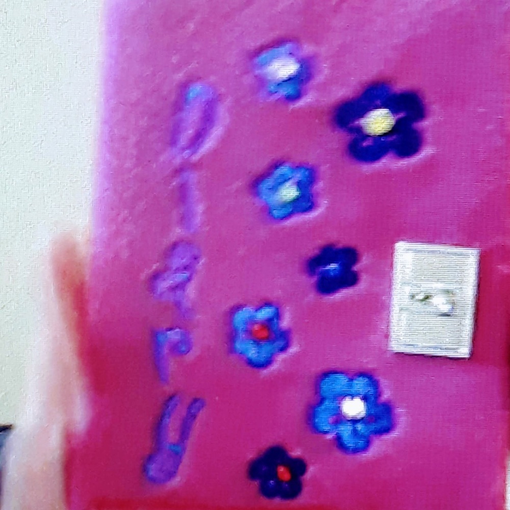 Hot pink fuzzy diary ISO(NOT SELLING LOOKING FOR THIS ITEM!!!!!!)